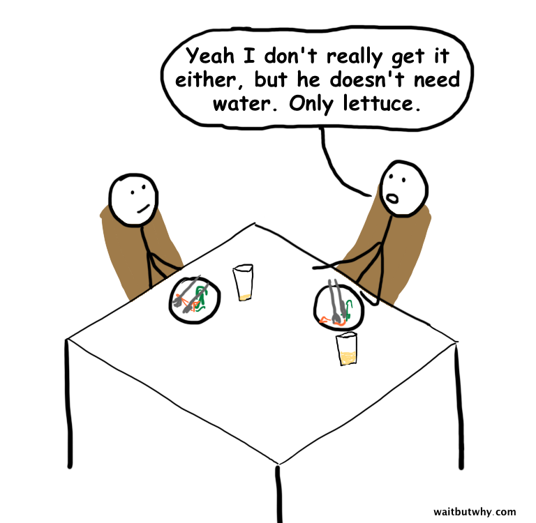 Fighting over the bill