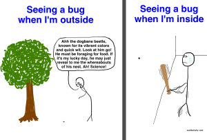 Why Bugs Ruin Everything
