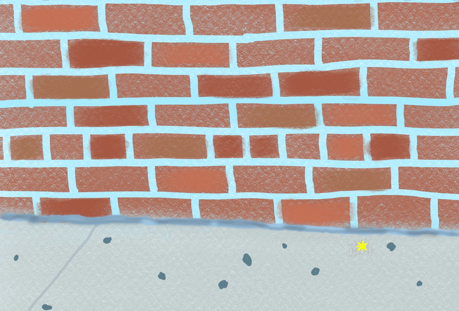 You Won’t Believe My Morning